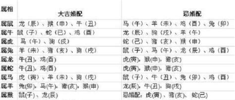 1997年属|1997年属牛的最佳配偶 97年属牛的和什么属相最配